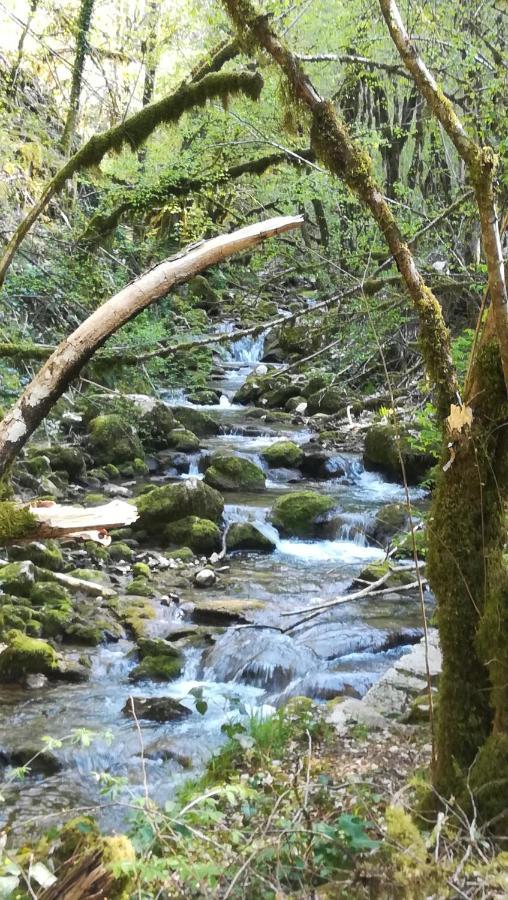 Du Pressoir Hébergement de vacances Cerdon (Ain)